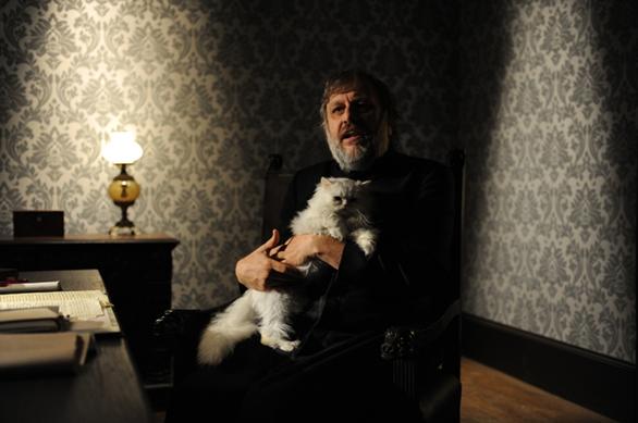 zizek cat