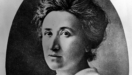 Call for Papers: Rosa Luxemburg Workshop
