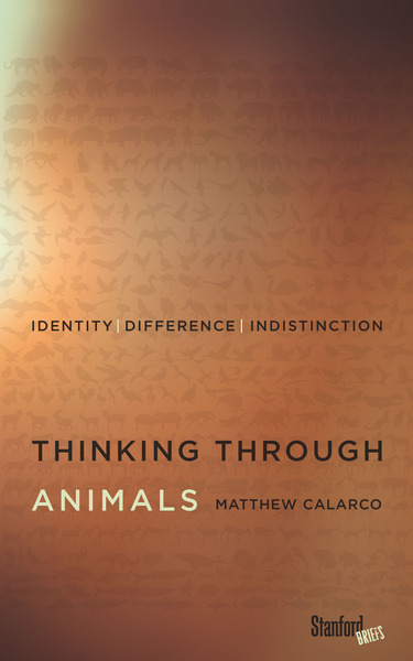 thinking through animal calarco